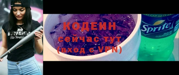 ешки Ельня