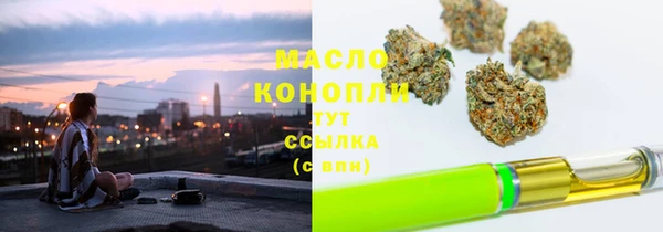 ешки Ельня