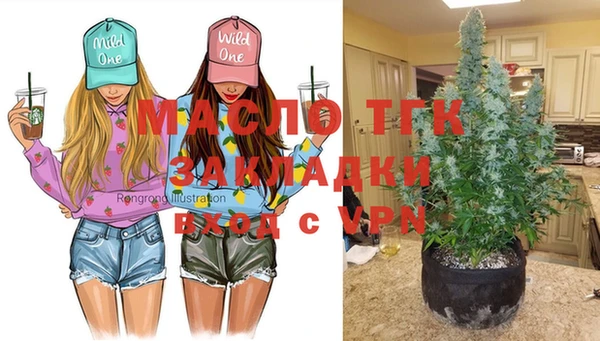 ешки Ельня