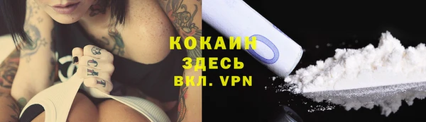 ешки Ельня