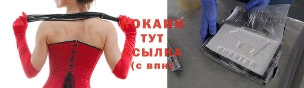 ешки Ельня