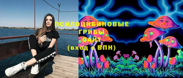 ешки Ельня