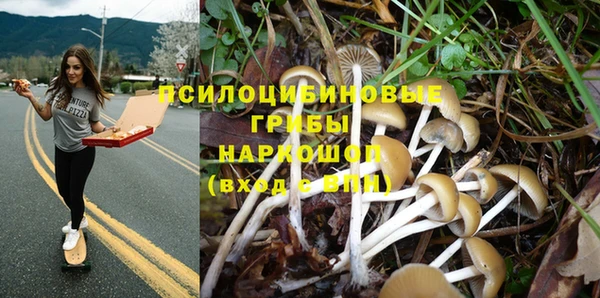 ALPHA-PVP Елабуга