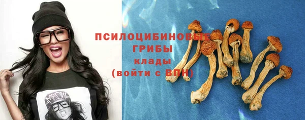 сатива Елизово