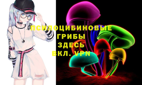 сатива Елизово