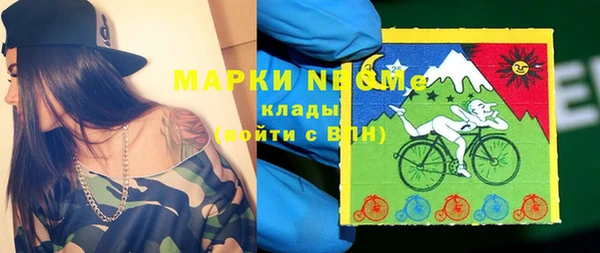 ешки Ельня