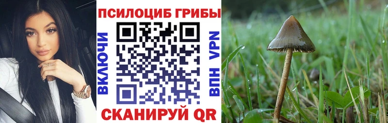 Псилоцибиновые грибы Magic Shrooms  Купить закладки  Макарьев 